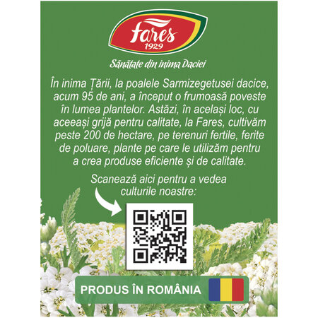 Ceai de coada soricelului, 20 plicuri, Fares 721316