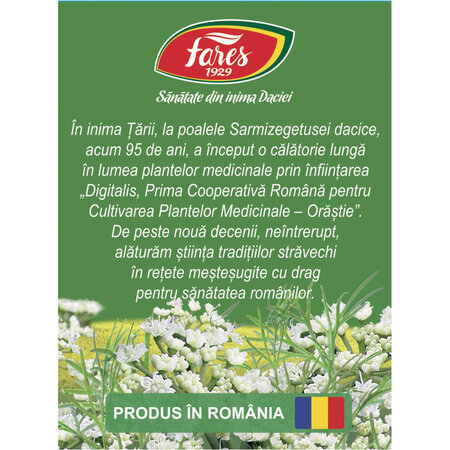 Ceai fructe de Chimion, 20 plicuri, Fares 721320