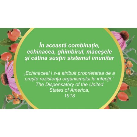 Ceai Imunitate, 50g, Fares 722130