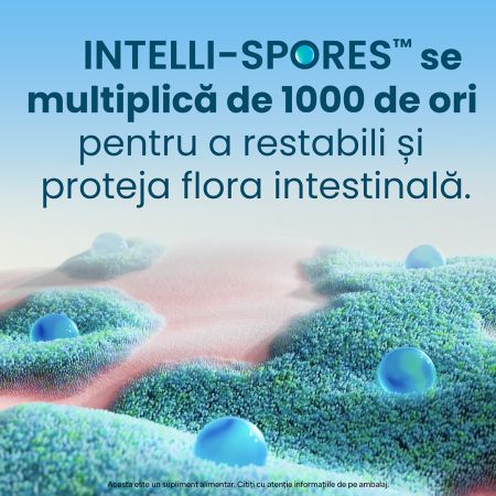 Enterogermina Forte suspensie orala, 10 flacoane, Opella 722252