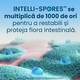 Enterogermina Forte suspensie orala, 10 flacoane, Opella 722252