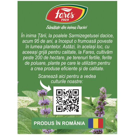 Ceai de menta, 20 plicuri, Fares 723127