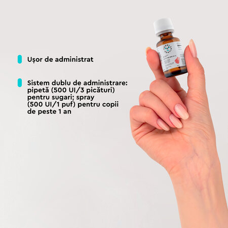 Vitamina D3 pentru copii Daily-D3 Jr Good Routine, 500 UI, 15 ml, Secom 763420
