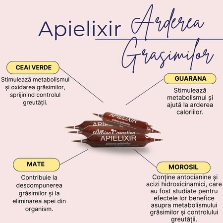 Apielixir Arderea grasimilor, 30 fiole, Albina Carpatina 723468