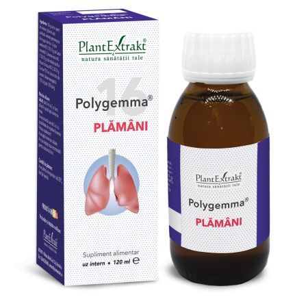 Polygemma 16 Plamani, 120 ml, Plant Extrakt