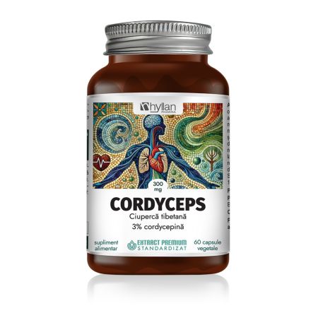 Cordyceps, 300 mg, 60 capsule vegetale, Hyllan