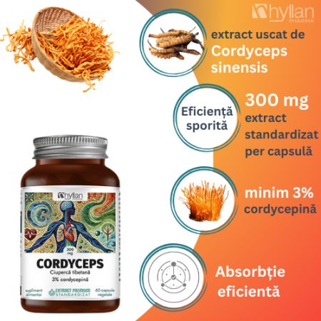 Cordyceps, 300 mg, 60 capsule vegetale, Hyllan 725541