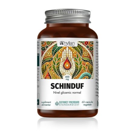 Schinduf, 400 mg, 60 capsule, Hyllan