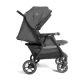Carucior de gemeni Estrella, Ebony, 0 luni+, Joie 725864