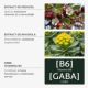 Jeleuri cu plante, GABA si Vitamina B6, Stres, 42 bucati, Mium Lab 726000
