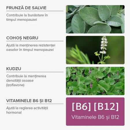 Jeleuri cu plante si vitamine, Menopauza, 42 bucati, Mium Lab 726059