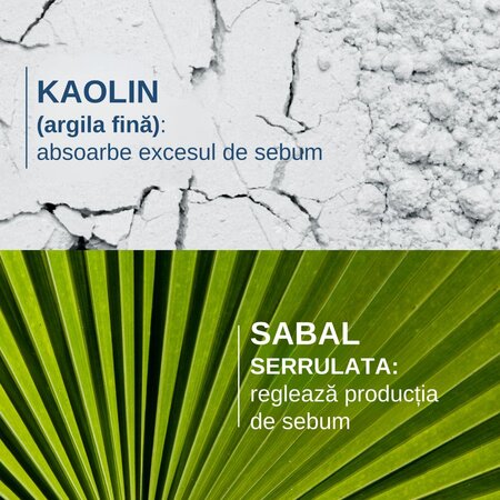 Sampon zilnic sebo-absorbant Sabal Argeal, 200 ml, Ducray 728318
