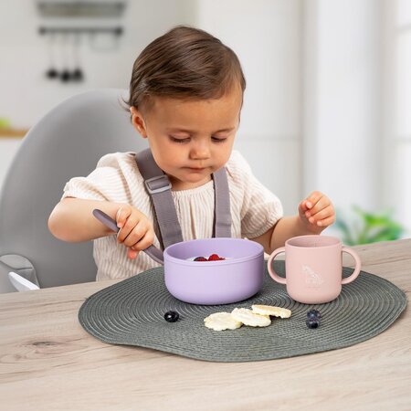 Set 4 piese vesela din silicon pentru mancarea copiilor, Mov, 6 luni+, Reer 730005