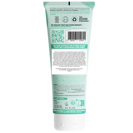 Sampon detoxifiant pentru par gras, Detox Aloe, 250 ml, Energie Fruit 775325