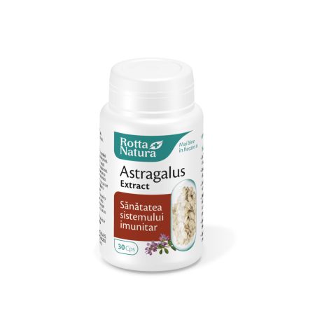 Astragalus extract, 30 capsule, Rotta Natura