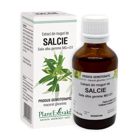 Extract din muguri de Salcie, 50 ml, Plant Extrakt
