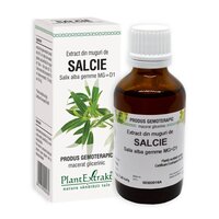 Extract din muguri de Salcie, 50 ml, Plant Extrakt