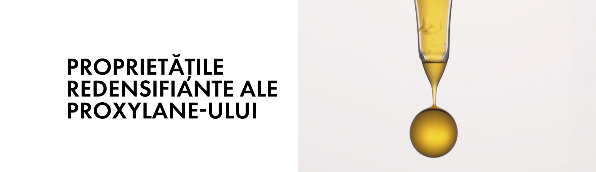 Banner3 Desktop
