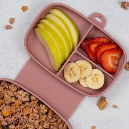 Caserola compartimentata din silicon cu ventuza Magic Box, Old Rose, 6 luni+, Appekids 731285