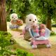 Figurine Familia Vidrelor de Mare, 3 ani+, Sylvanian Families 732128