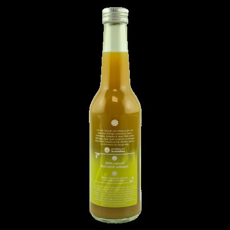 Suc de Mango si Mere, 100% natural prin presare la rece, 330 ml, Gym Beer 733300