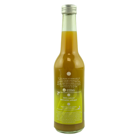 Suc de Mango si Mere, 100% natural prin presare la rece, 330 ml, Gym Beer 733300