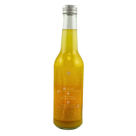 Suc de Ananas 100% natural prin presare la rece, 330 ml, Gym Beer 733308