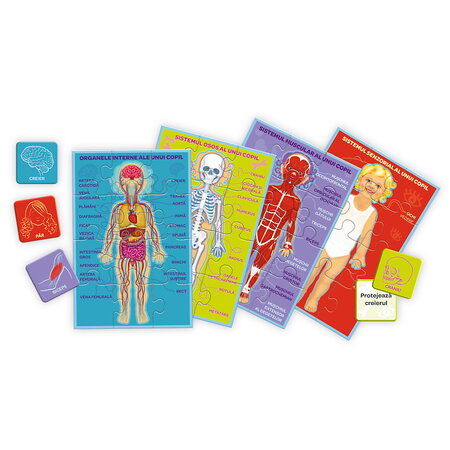Joc educativ Corpul Meu Micul Explorator, 3 ani+, Trefl 734971