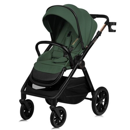 Carucior 3 in 1 pana la 22 Kg Layla, Verde, Lionelo 736471
