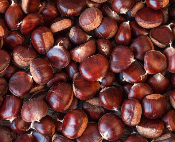 Extract de castane