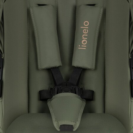 Carucior reversibil 2 in 1 cu multiple accesorii Amber Plus, pana la 22 kg, Verde, Lionelo 739726