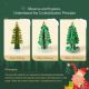 Set STEM creativ cu sare, Brad Magic de Craciun, 6 ani+, MiDeer 740854
