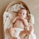Muselina multifunctionala din bumbac 100% organic SNUGGLE.me, 120x120 cm, Pure Life, 1 bucata, Onino 745449