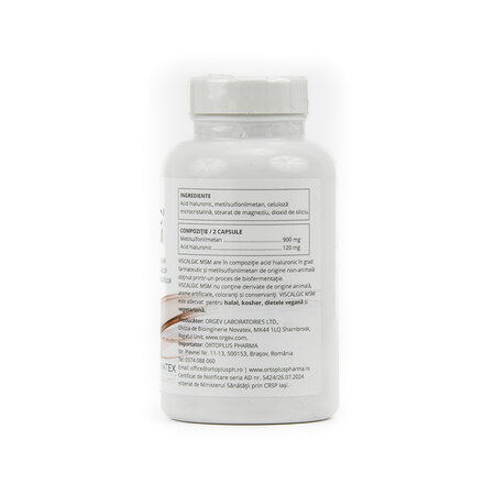 Viscalcig MSM, 120 capsule, Novatex 746138