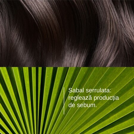 Sampon seboreglator pentru par gras Sabal, 200 ml, Ducray 746286
