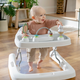 Premergator 3 in 1 Step & Sprout, First Forest, 6 luni+, Ingenuity 748752