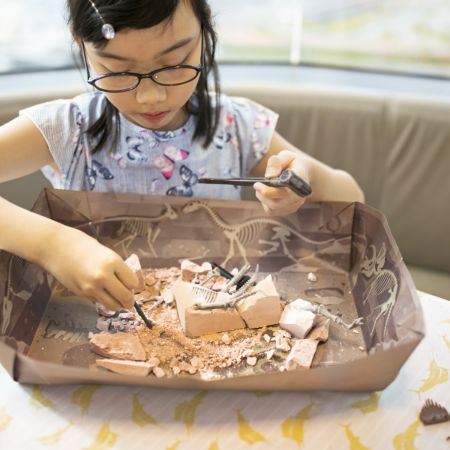 Set educativ Sapa si descopera dinozauri Triceratops, 8 ani+, 4M 748868
