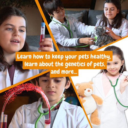 Primul meu kit de veterinar, 4 ani+, Hashtag Toys 750217
