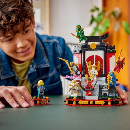 Model pentru etalare cu personaje ninja la a 15-a aniversare, 14 ani+, 71866, 447 piese, Lego Ninjago 754967