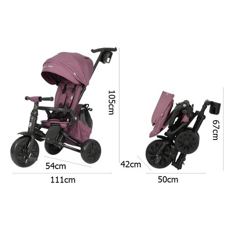 Tricicleta ultrapliabila Nova Max, Violet, 10 luni-6 ani, Qplay 755224