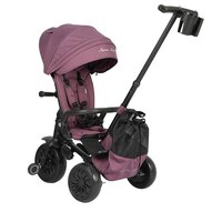 Tricicleta ultrapliabila Nova Max, Violet, 10 luni-6 ani, Qplay