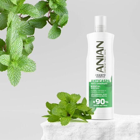 Sampon antimatreata, Mentol, 400 ml, Anian 755567