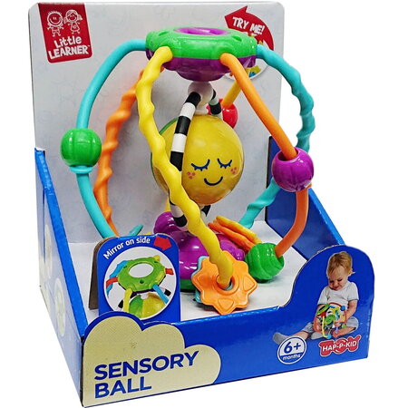 Prima mea mingiuta interactiva, 6 luni+, Little Learner 755748