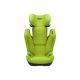 Scaun auto cu Isofix R129 Axion 1, Hello Green, 3-12 ani,15-36 kg, Recaro 763936