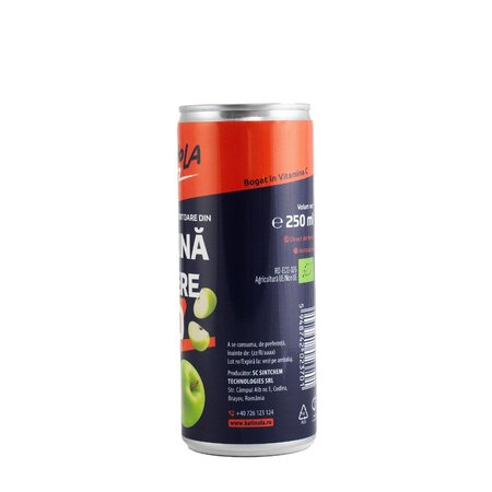 Bautura racoritoare Bio din mere si catina, 250 ml, Katinola 765156