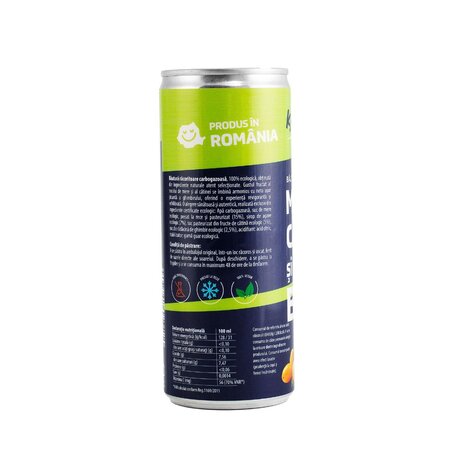Bautura racoritoare Bio din mere, catina si ghimbir, 250 ml, Katinola 765176
