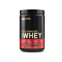 Pudra proteica cu aroma de ciocolata Gold Standard, 310 g, Optimum Nutrition