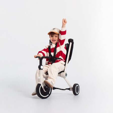 Tricicleta multifunctionala Wonder, Moonlight, 9 luni-3 ani, SmarTrike 767904