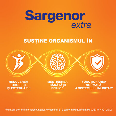 Sargenor Extra B12, 20 fiole a 5 ml solutie orala, MagnaPharm 797686