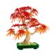 Bonsai de artar japonez rosu Botanicals, 18 ani+, 10348, Lego 768916